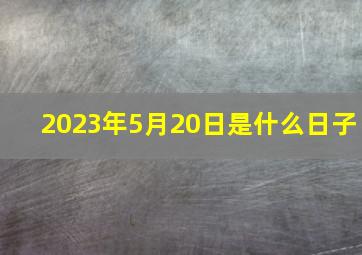 2023年5月20日是什么日子