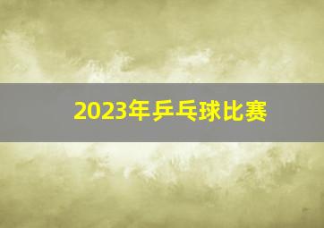 2023年乒乓球比赛