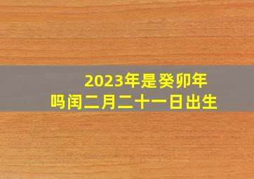 2023年是癸卯年吗闰二月二十一日出生