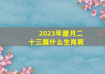 2023年腊月二十三属什么生肖呢