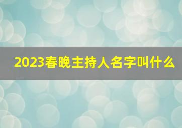 2023春晚主持人名字叫什么