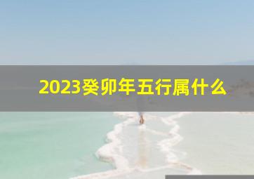 2023癸卯年五行属什么