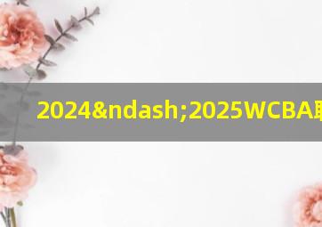 2024–2025WCBA联赛直播