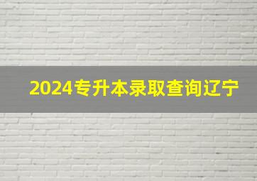 2024专升本录取查询辽宁