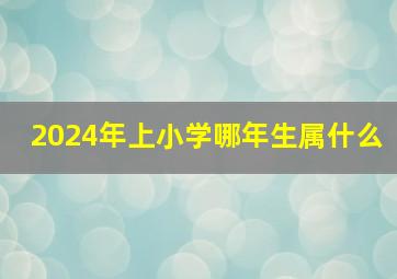 2024年上小学哪年生属什么