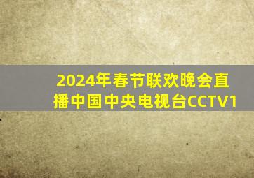 2024年春节联欢晚会直播中国中央电视台CCTV1