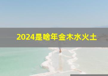 2024是啥年金木水火土