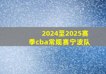 2024至2025赛季cba常规赛宁波队