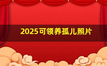 2025可领养孤儿照片