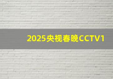 2025央视春晚CCTV1