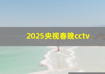 2025央视春晚cctv