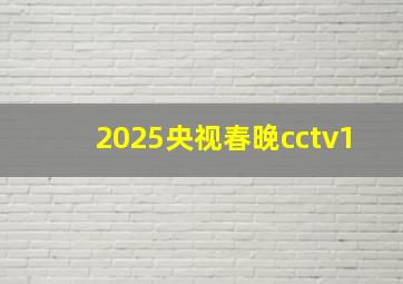 2025央视春晚cctv1