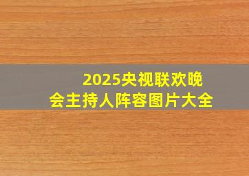 2025央视联欢晚会主持人阵容图片大全