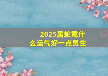 2025属蛇戴什么运气好一点男生