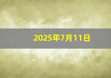 2025年7月11日