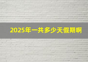 2025年一共多少天假期啊