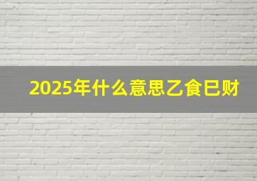 2025年什么意思乙食巳财