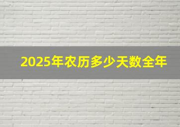 2025年农历多少天数全年