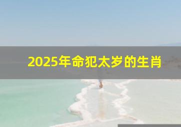 2025年命犯太岁的生肖