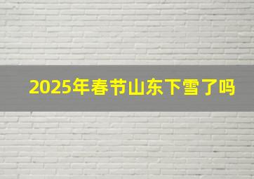 2025年春节山东下雪了吗