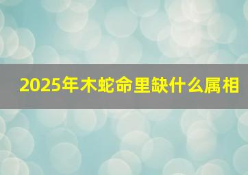 2025年木蛇命里缺什么属相