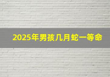 2025年男孩几月蛇一等命