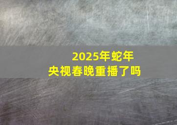 2025年蛇年央视春晚重播了吗