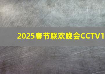 2025春节联欢晚会CCTV1