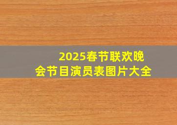 2025春节联欢晚会节目演员表图片大全