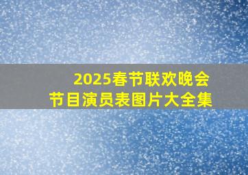 2025春节联欢晚会节目演员表图片大全集