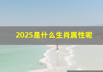 2025是什么生肖属性呢