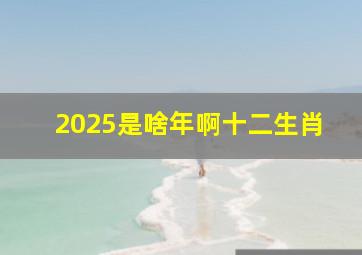 2025是啥年啊十二生肖