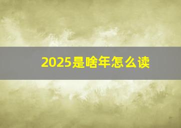 2025是啥年怎么读