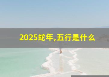 2025蛇年,五行是什么