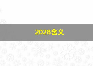 2028含义