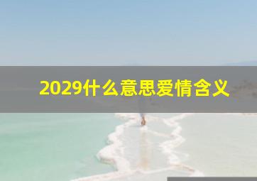 2029什么意思爱情含义