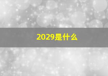 2029是什么