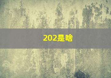 202是啥