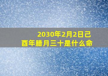 2030年2月2日己酉年腊月三十是什么命