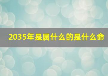 2035年是属什么的是什么命