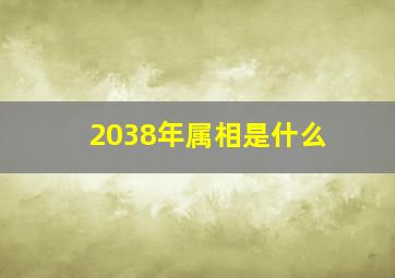 2038年属相是什么