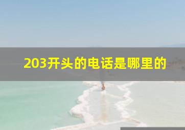 203开头的电话是哪里的