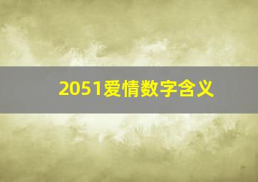 2051爱情数字含义