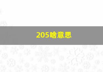 205啥意思