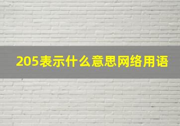 205表示什么意思网络用语