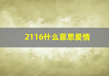 2116什么意思爱情