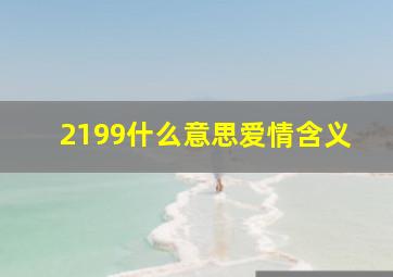 2199什么意思爱情含义