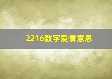 2216数字爱情意思