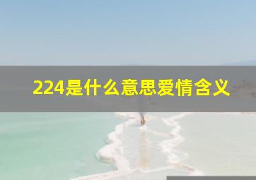 224是什么意思爱情含义