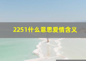 2251什么意思爱情含义